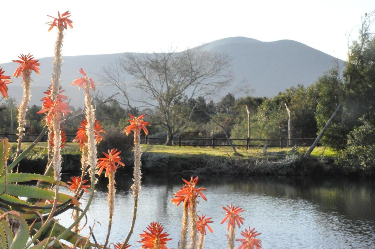 Tenikwa Wildlife Centre Plettenberg Bay Exteriér fotografie