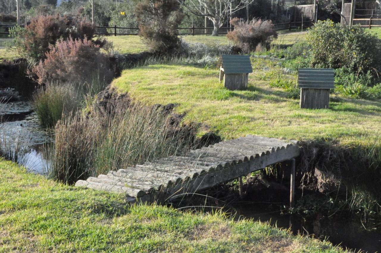 Tenikwa Wildlife Centre Plettenberg Bay Exteriér fotografie