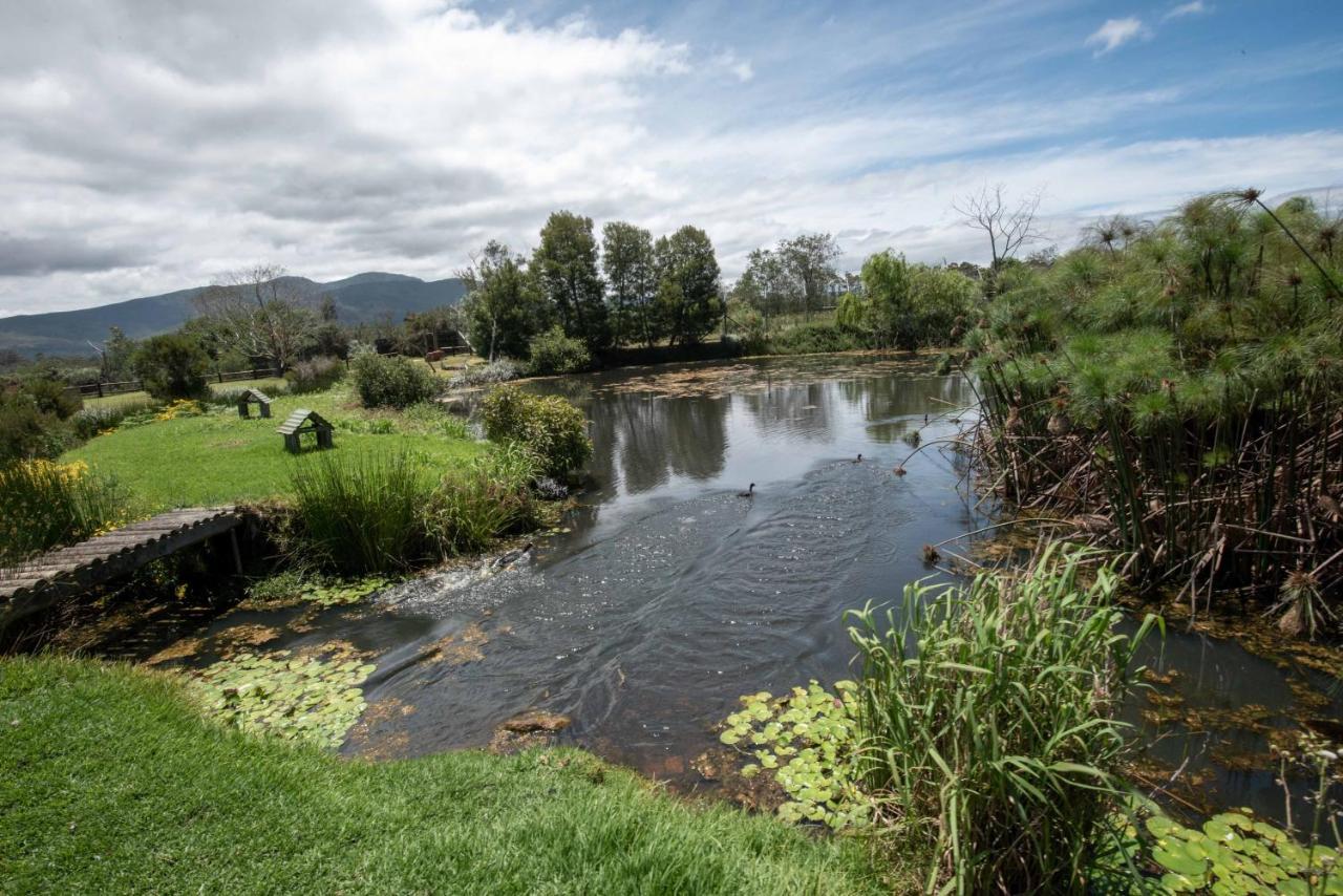 Tenikwa Wildlife Centre Plettenberg Bay Exteriér fotografie