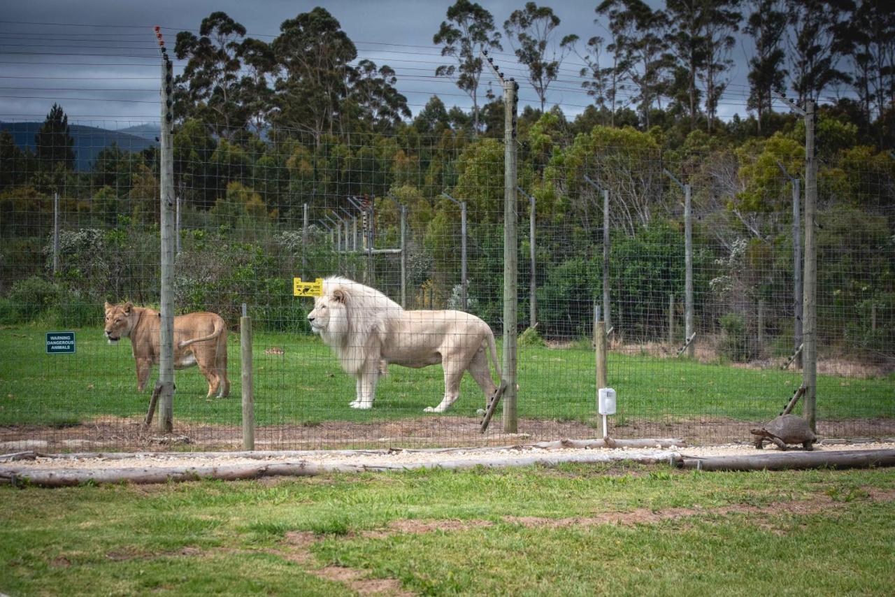 Tenikwa Wildlife Centre Plettenberg Bay Exteriér fotografie