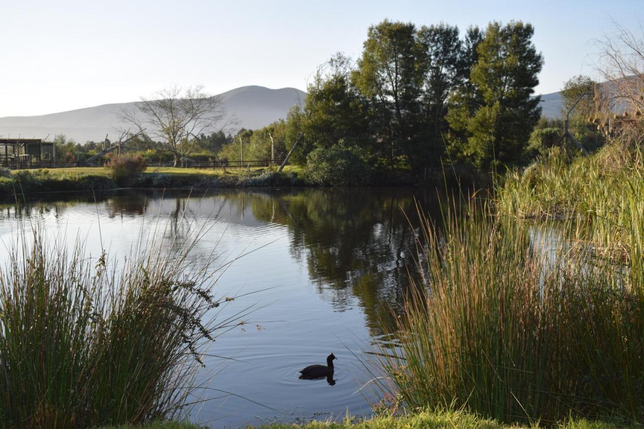 Tenikwa Wildlife Centre Plettenberg Bay Exteriér fotografie