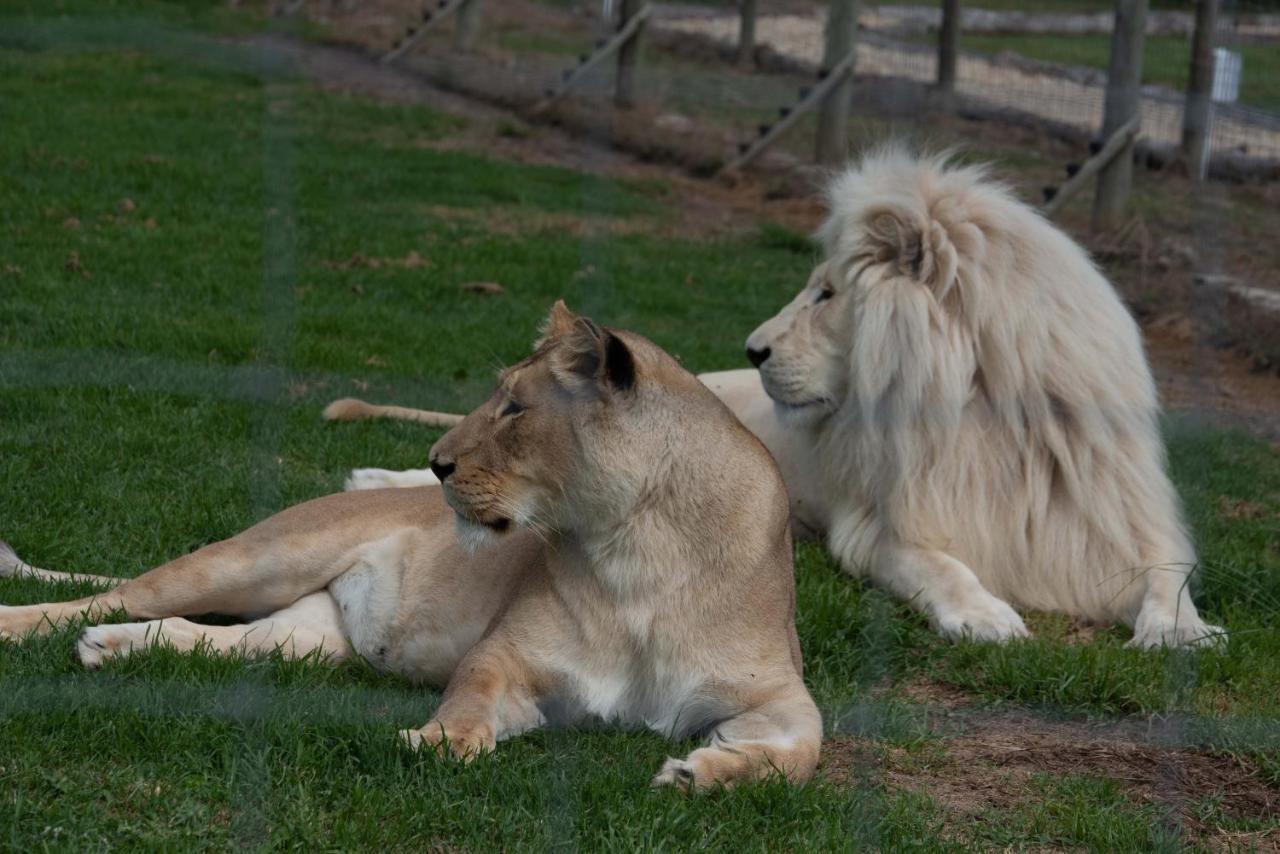 Tenikwa Wildlife Centre Plettenberg Bay Exteriér fotografie