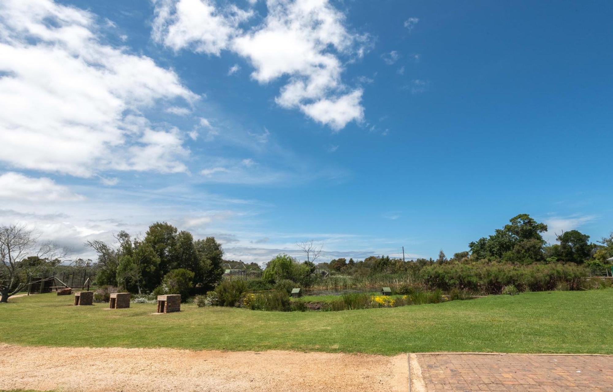 Tenikwa Wildlife Centre Plettenberg Bay Exteriér fotografie