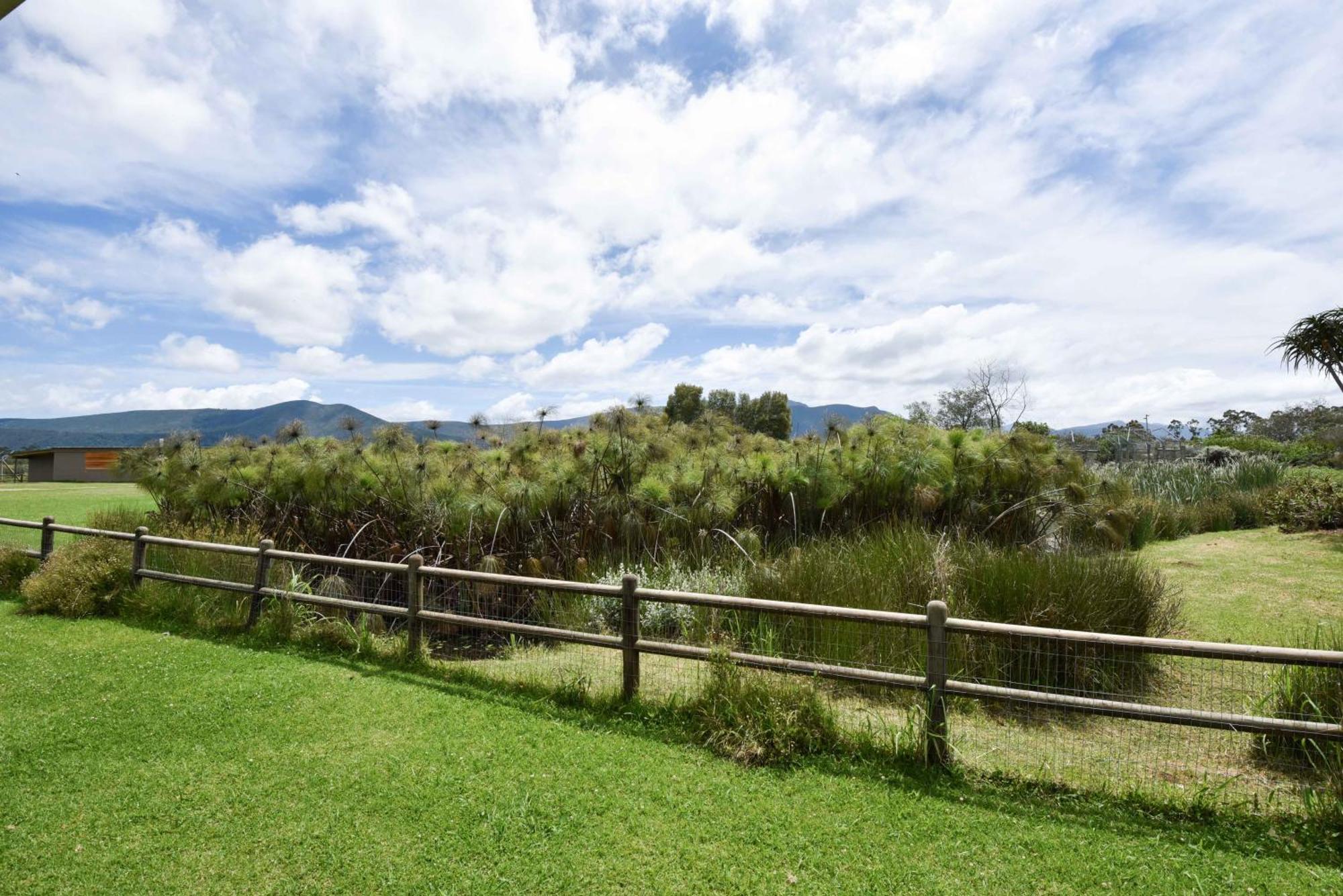 Tenikwa Wildlife Centre Plettenberg Bay Exteriér fotografie